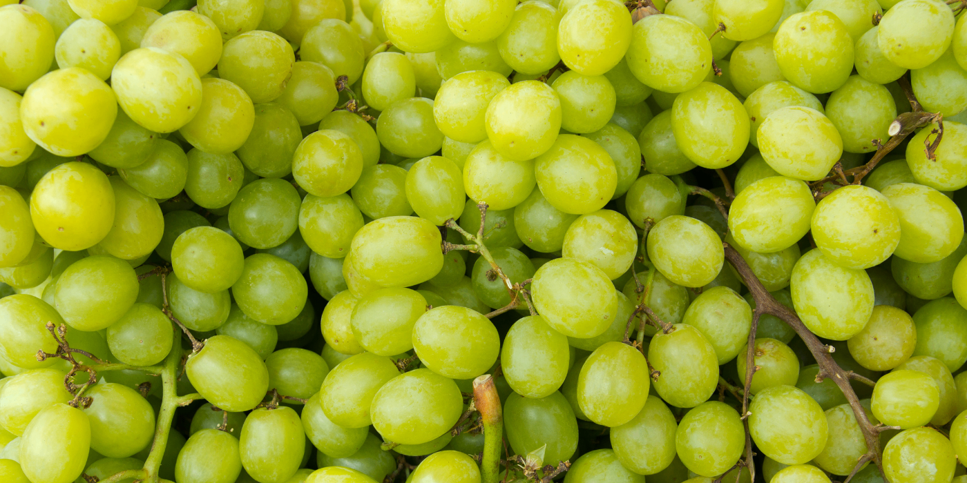 gröna vindruvor