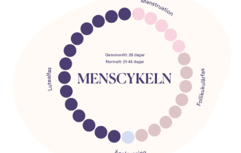 menscykel